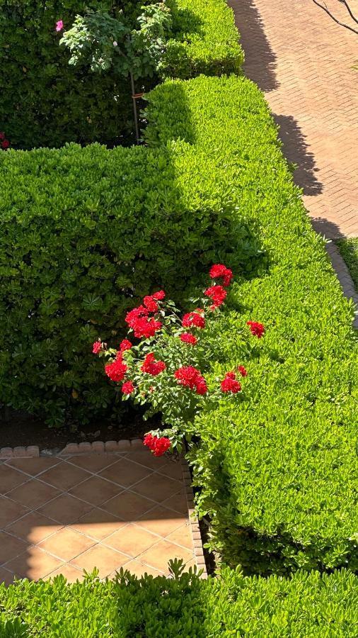 Apartament La Rosaleda 17